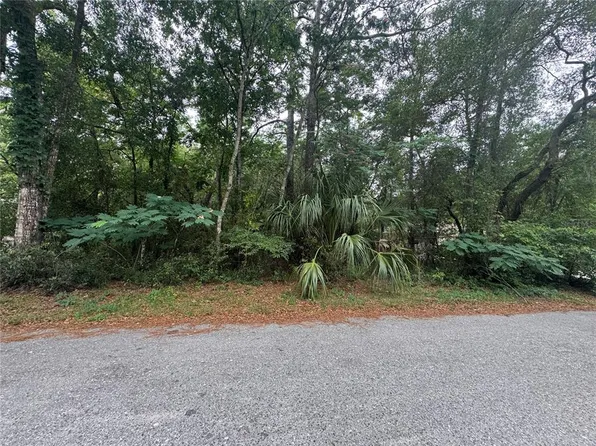 3462 E Michael St Lot 15, Inverness, FL 34453