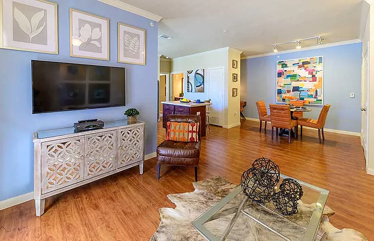 Parkway Grande Living Room Area, San Marcos, Texas