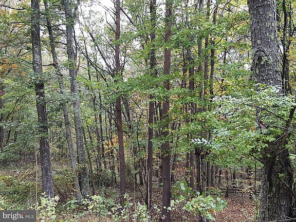 4th image of 25305 Old Williams Rd NE