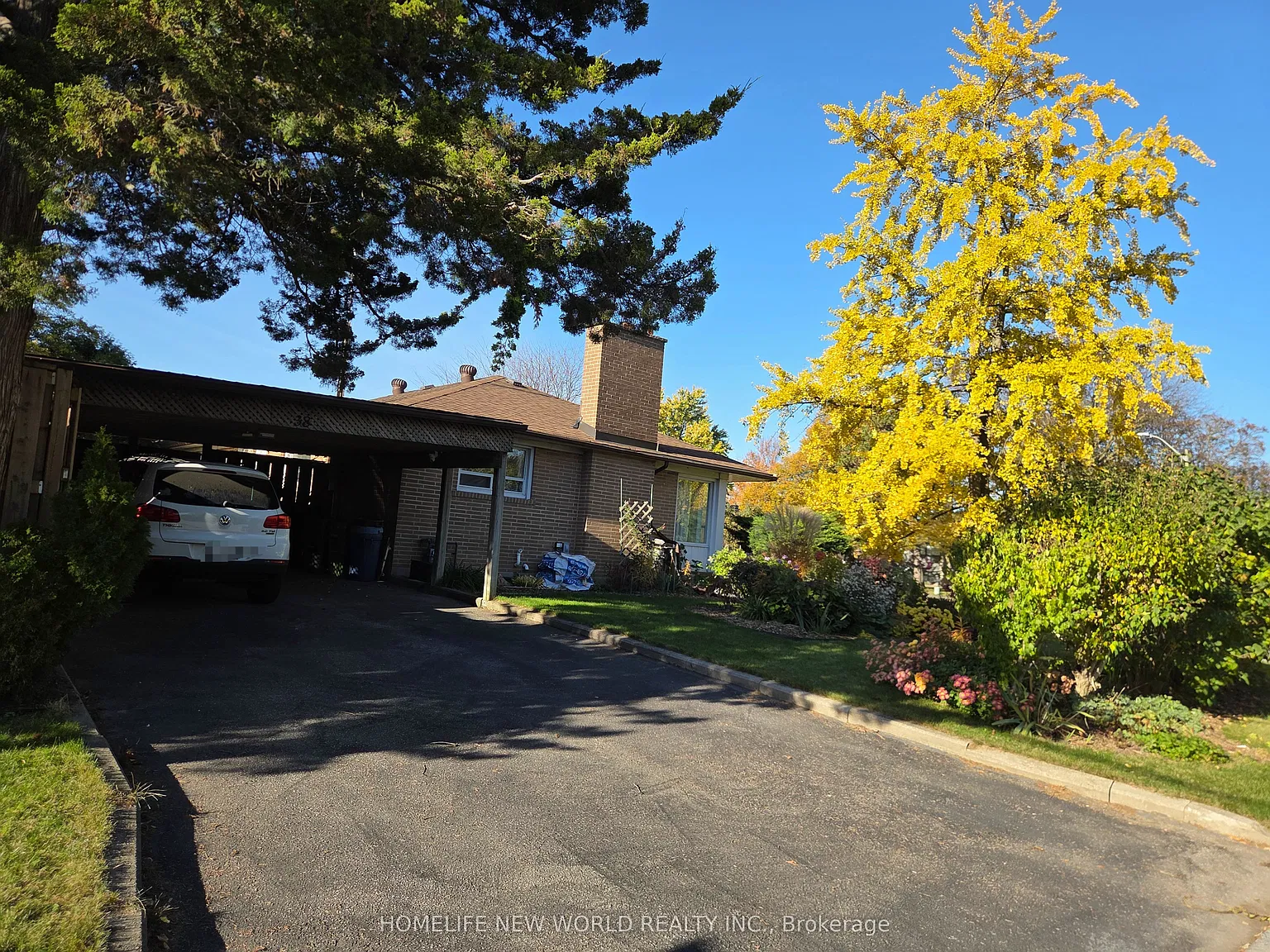 1 bed, $1,000 — Photo 2