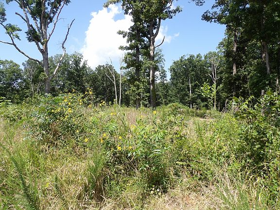 2nd image of 755 Old Highway 13