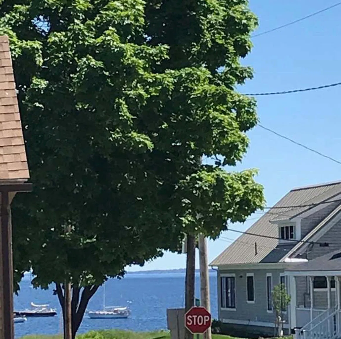 2 bed, $1,425 — Photo 4