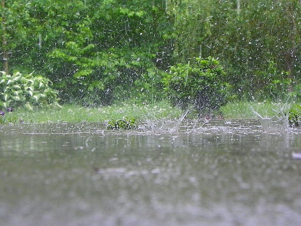 2nd image of 124 Ziegler Rd