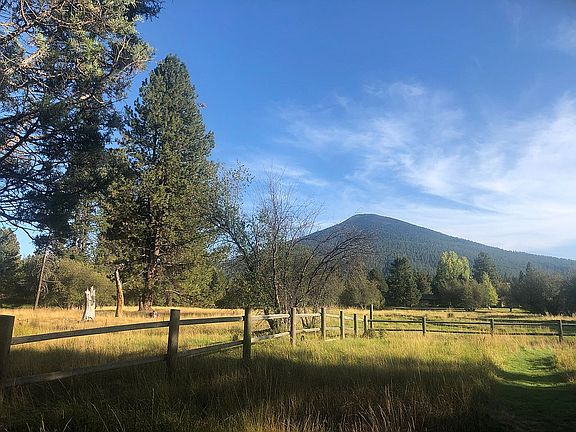 Black Butte and Meadow