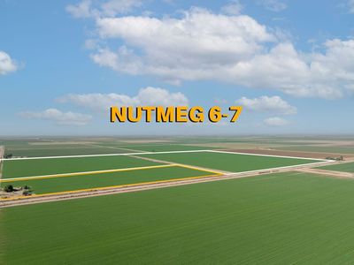 0 Nutmeg #6 & 7, Brawley, CA, 92227