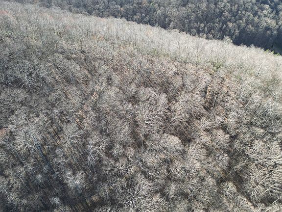 4th image of Simms Fork Rd