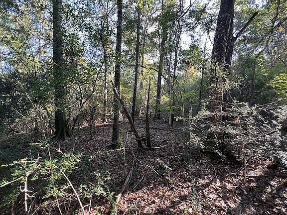 4th image of Cravey Bridge Rd
