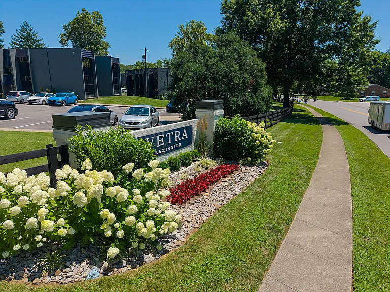 Vetra Lexington — Photo 26