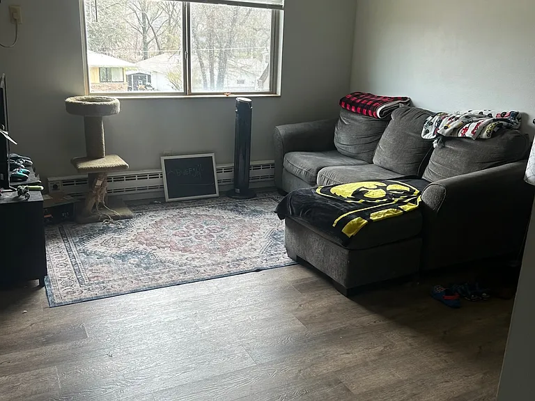 422 N 1st St #4 — Photo 7