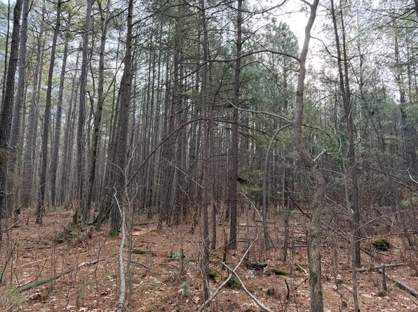 (undisclosed Address), Reedville, VA 22539