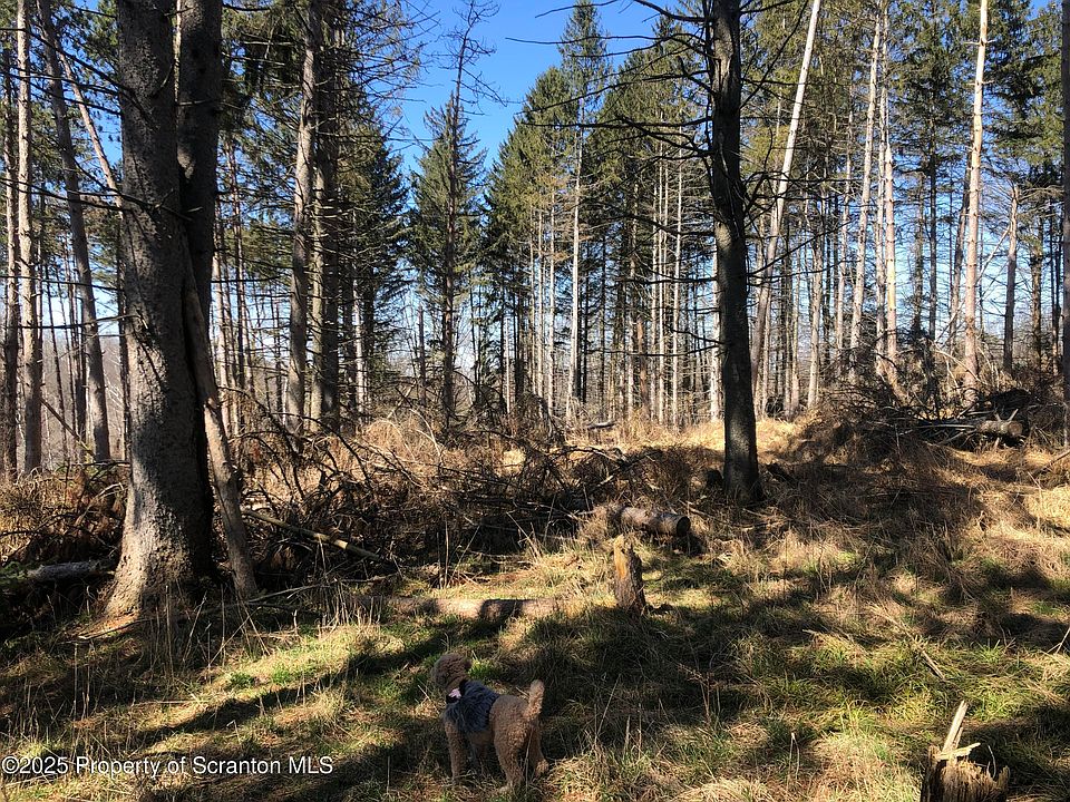 2nd image of 634 Lily Lake Rd Lot 3