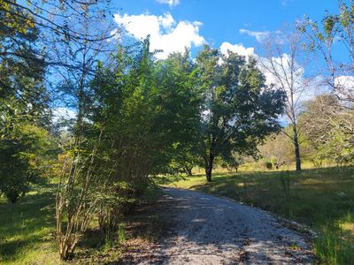 181 Sunshine Ln, Spring City, TN, 37381