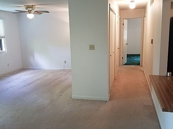 3rd image of 509 Columbia Dr APT G