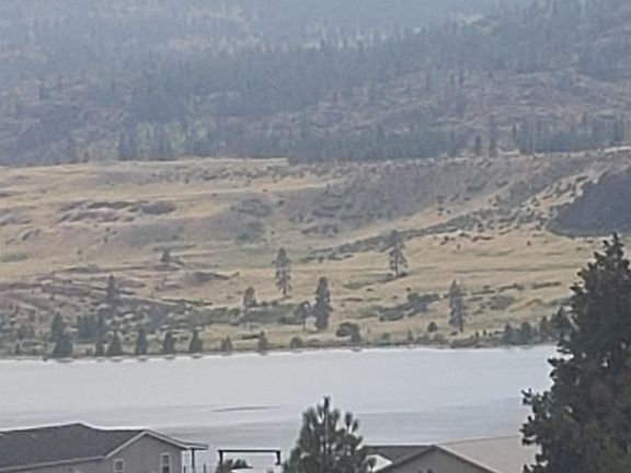 3rd image of 42480 N Buckhorn Dr