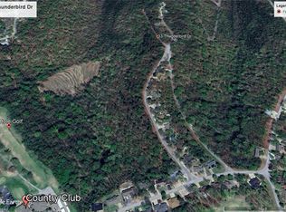 33 Thunderbird Dr #3, Eureka Springs, AR 72631