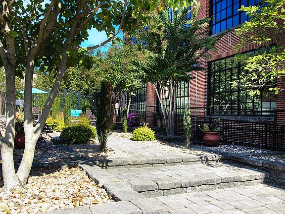 Back patio with lounge chairs
