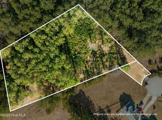 Tr1 & Tr2 Michelle Ward Lane, Maple Hill, NC 28454