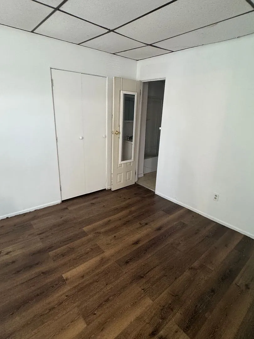 239 Amber St. — Photo 3