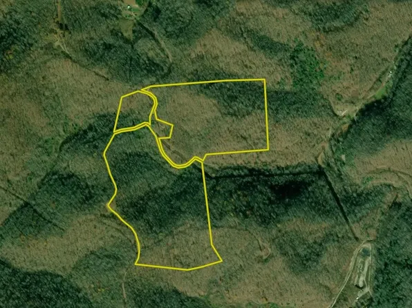 0 Queens Ridge Rd, Kiahsville, WV 25534