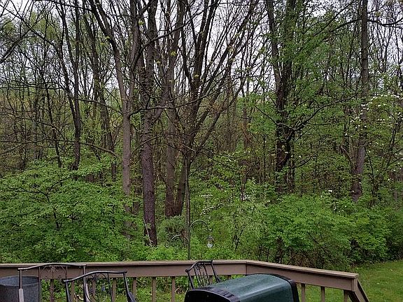 Spring Back Yard Left 01