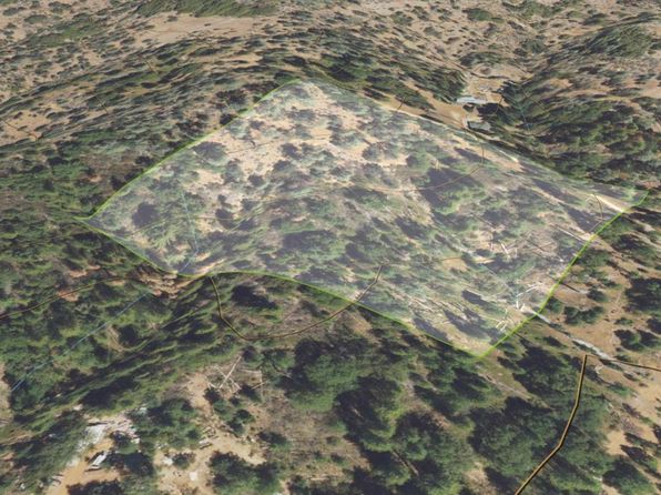 101 Appy Ln, Mountain Ranch, CA 95246