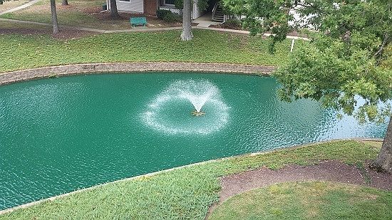 2nd image of 12709 Daybreak Cir