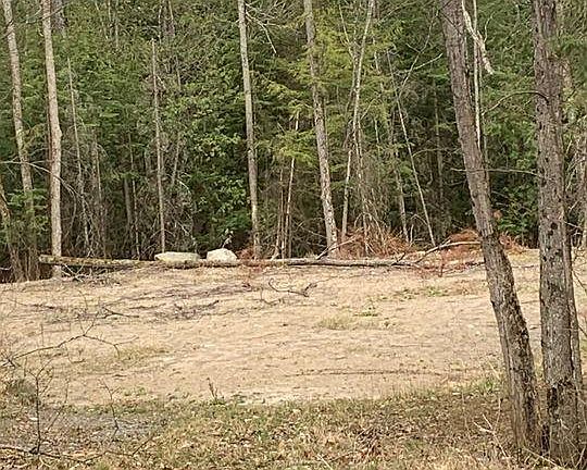 2nd image of 5 Mountain Basin Dr