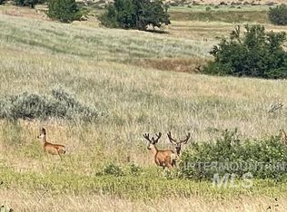 Apple Ln #6, Mesa, ID 83643
