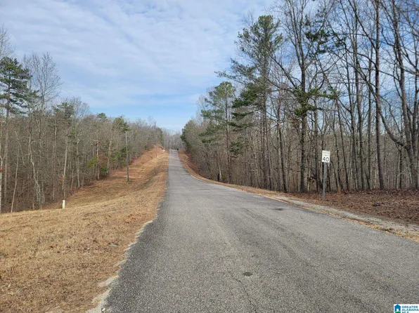 LOT 1 County Rd #116-1, Heflin, AL 36264