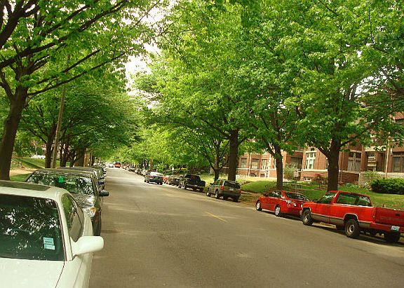 4th image of 5330 Pershing Ave APT 806