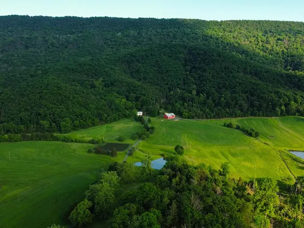 1675 Sandy Hook Rd, Strasburg, VA 22657