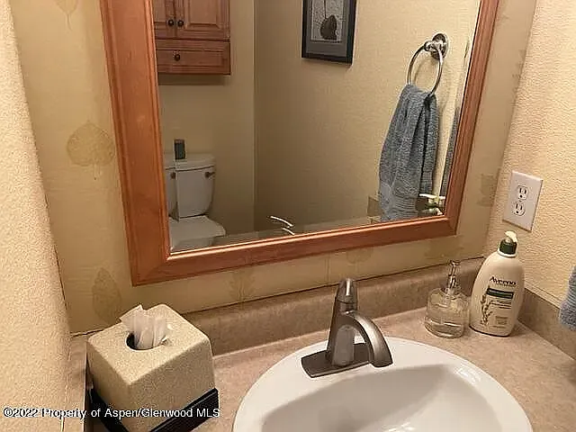 910 Mount Sopris Dr — Photo 20