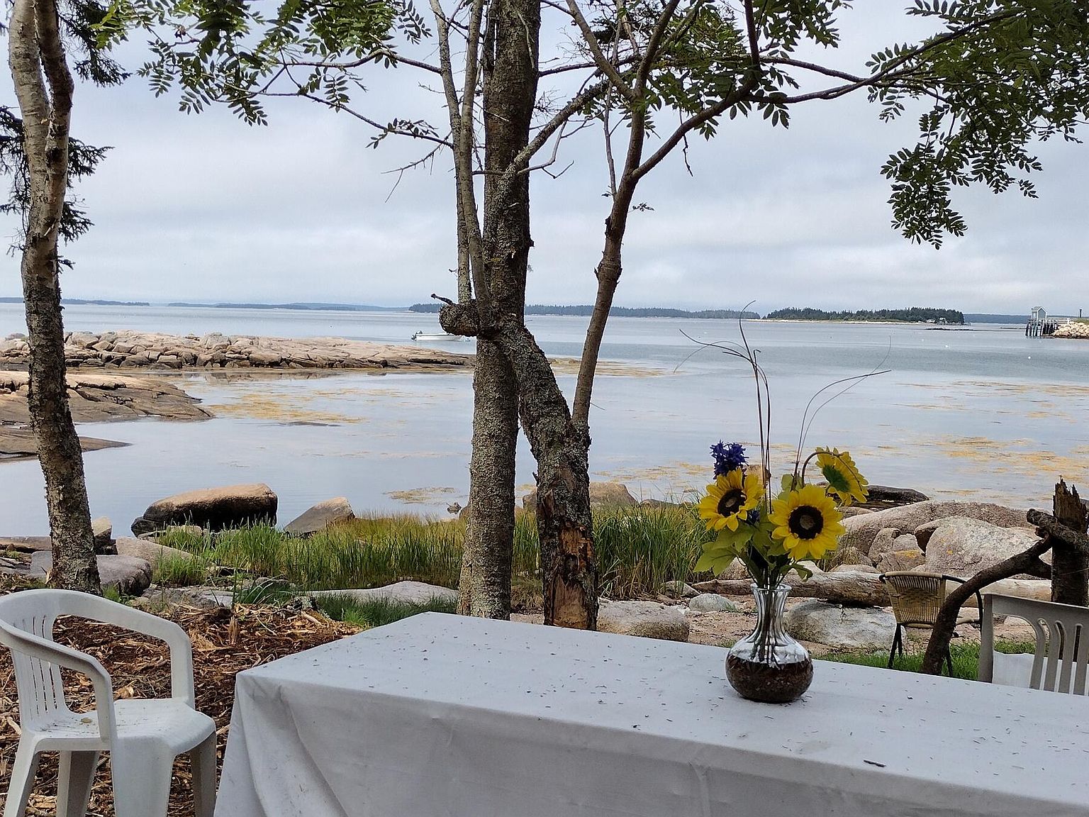 91 Black Duck Cove Road Lot 91, Beals, ME 04611 MLS 1568602 Zillow