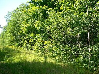 1st image of Tbd Old Orchard Road Town Of Liberty Grv