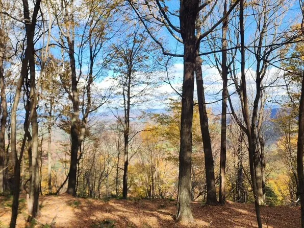 104 Overland Pass Rd, Claysburg, PA 16625