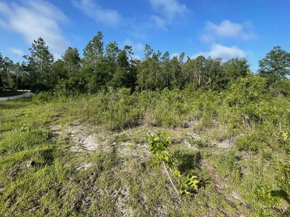 Tbd 103rd Dr, Obrien, FL 32071