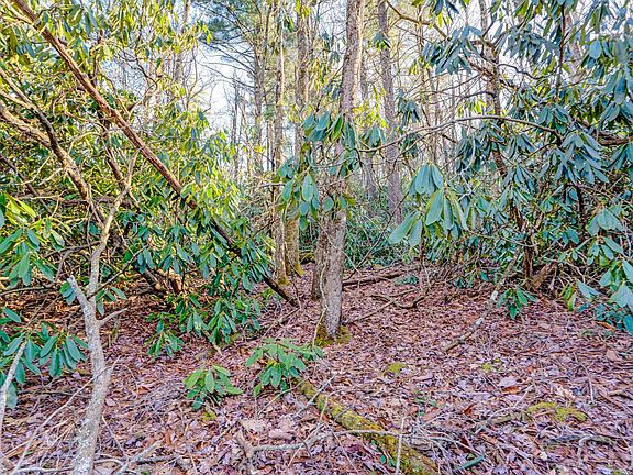 5th image of Lot 17 Bowery