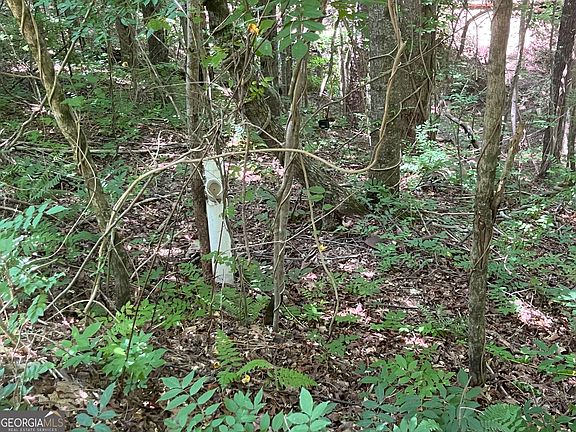 4th image of N/a S Twin Oaks Dr