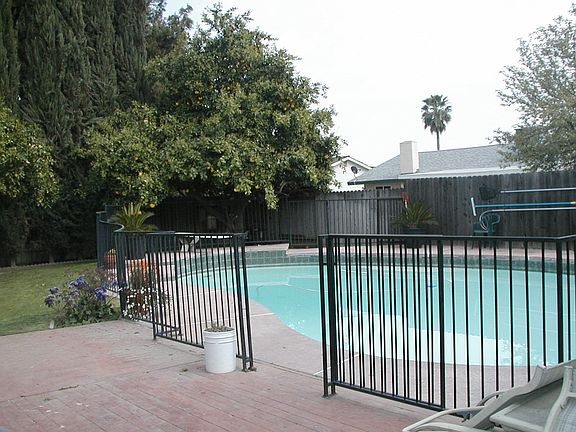 Backyard & Pool