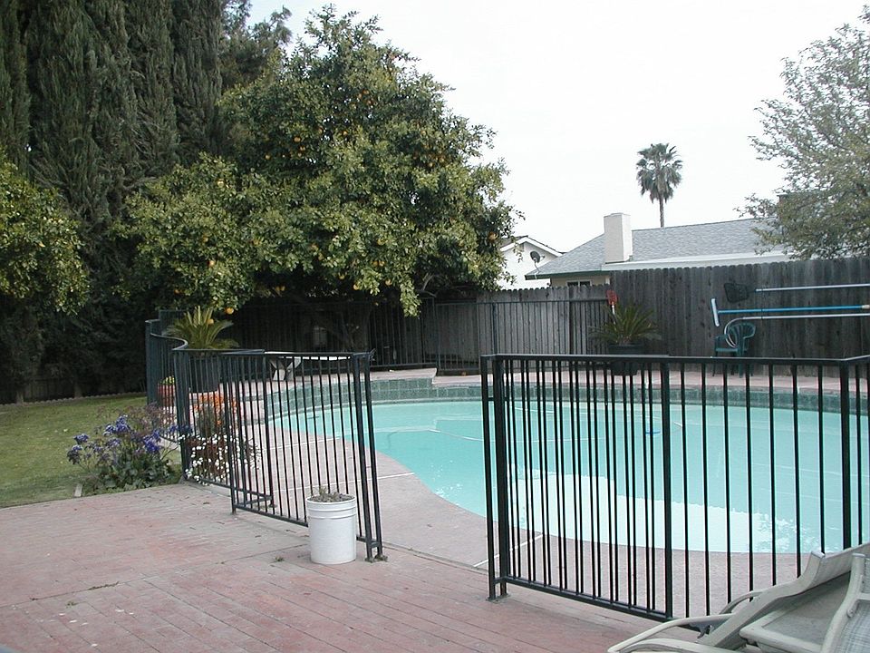 Backyard & Pool