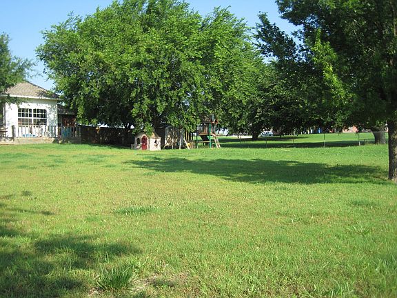 some of the back yard