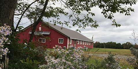 Road view
