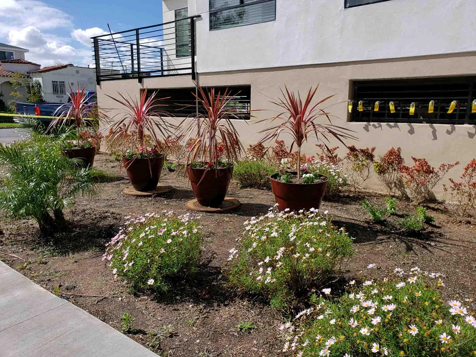 3 bed, 1650 sqft, $3,875 — Photo 4