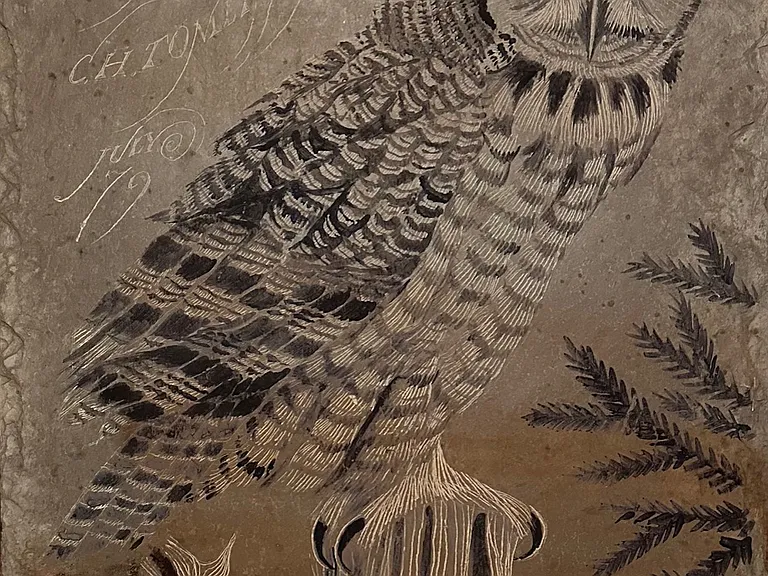 Slate etching of an owl.