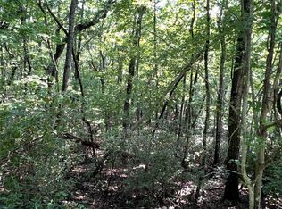 1502 Raspberry Ln #1502, Clarkesville, GA 30523