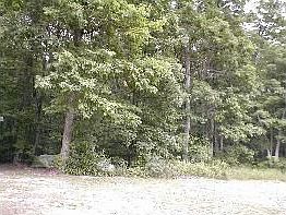 2nd image of 2540 E 2350th Rd