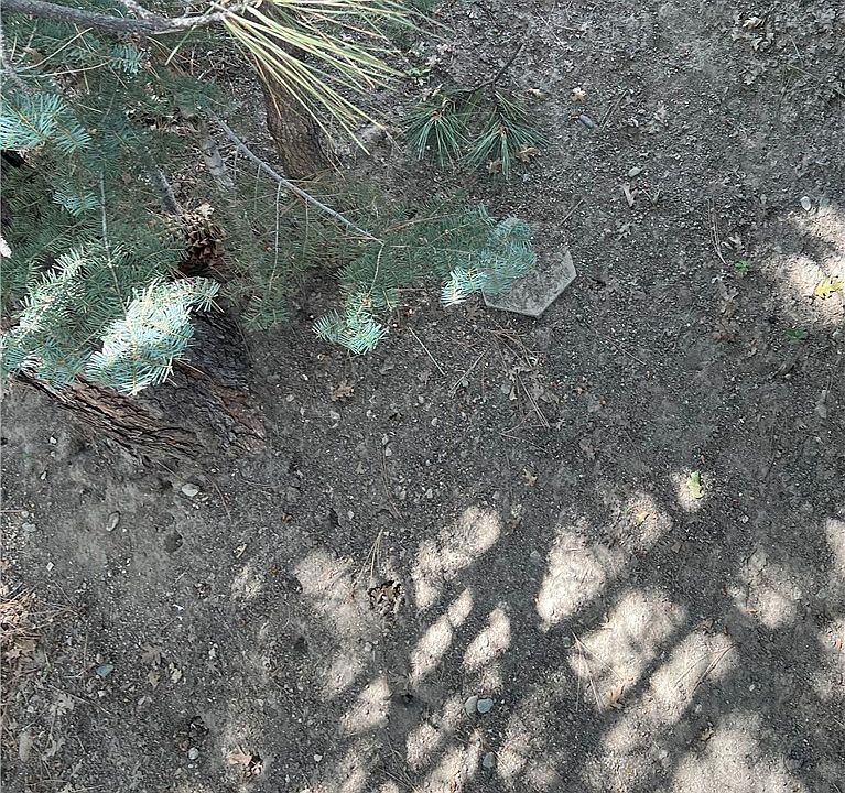 2nd image of 0 Robin Ln