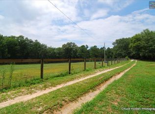 1090 Pine Grove Rd, Leesville, SC 29070