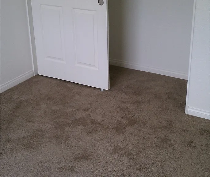 5493 Ovando Way — Photo 14