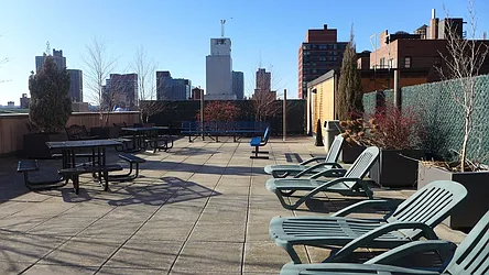 Rented by Bold New York